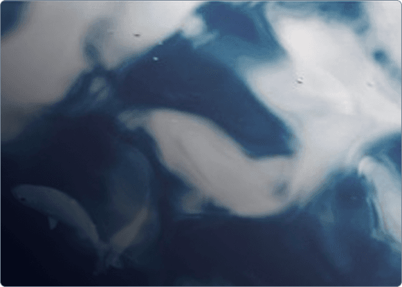 Kinetica Dashboard Interface